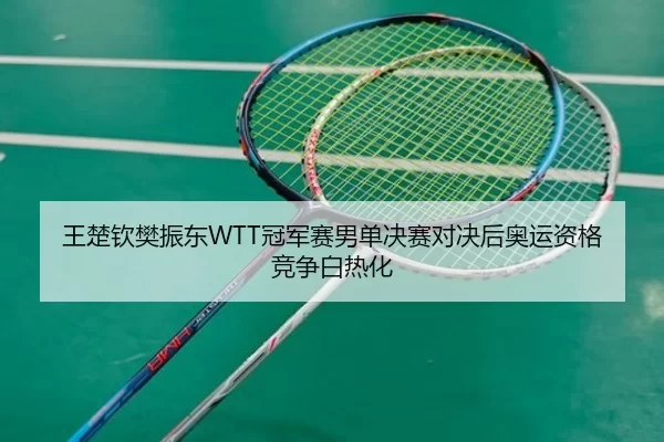 王楚钦樊振东WTT冠军赛男单决赛对决后奥运资格竞争白热化